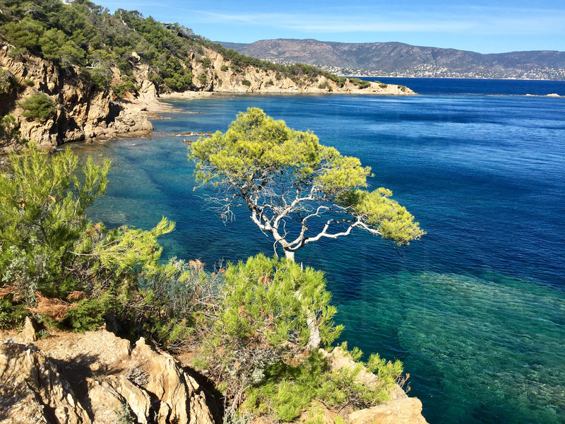 Proprit pieds dans l'eau au Cap Bnat - CETTE PROPRIT A T VENDUE PAR L'AGENCE DU REGARD