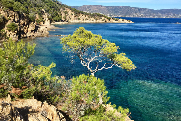 Proprit pieds dans l'eau au Cap Bnat