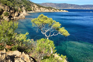 proprit pieds dans l'eau au Cap Bnat