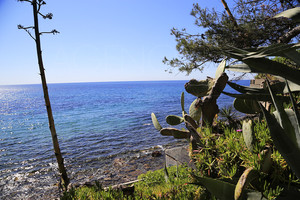 Villa pieds dans l'eau  Mar Vivo la Seyne sur mer