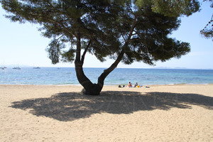 villa bord de mer avec piscine  la Londe les Maures