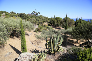 villa vue mer le Lavandou