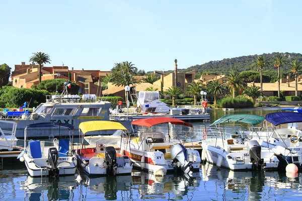 Appartement vue mer et plage  pieds  Porquerolles