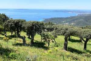 Le Lavandou - Proprit vue mer