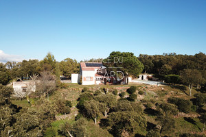 Proprit vue mer au Lavandou