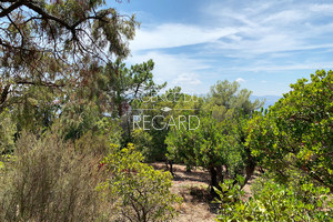 Terrain a vendre au Cap Ngre le Lavandou