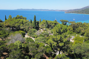 Terrain vue mer au Cap ngre Lavandou