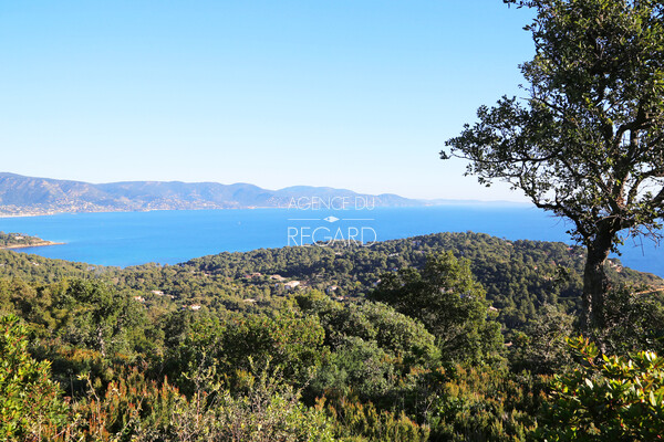 Proprit de 4 hectares face  la mer ...