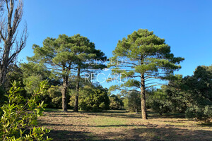 Proprit vue mer au Lavandou