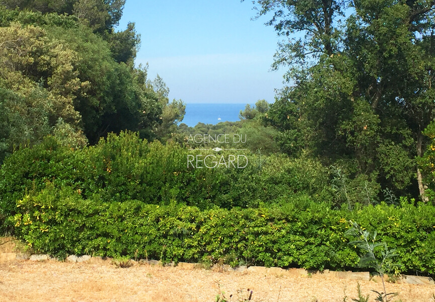 Au cur de la verdure du Gaou Bnat CETTE PROPRIETE A ETE VENDUE PAR L'AGENCE DU REGARD