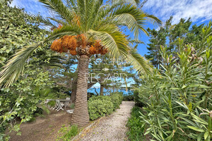 appartement pieds dans l'eau � Porquerolles