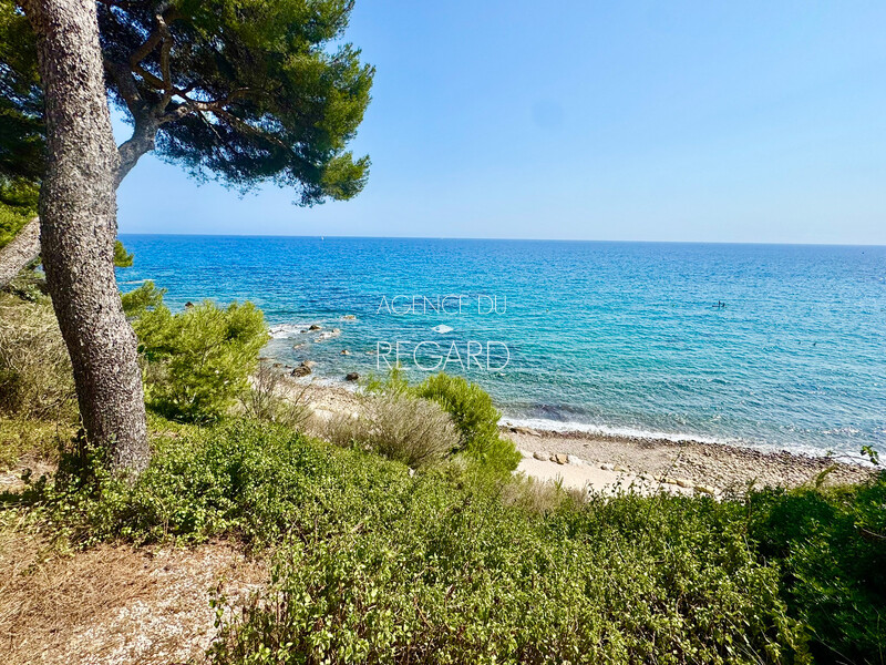 Proprit vue mer  Saint-Mandrier, plage  pied...