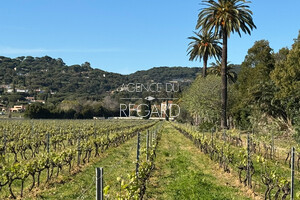 propri�t� vue mer � La Croix-Valmer