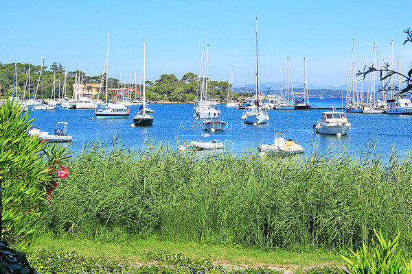 Appartement pieds dans l'eau � Porquerolles