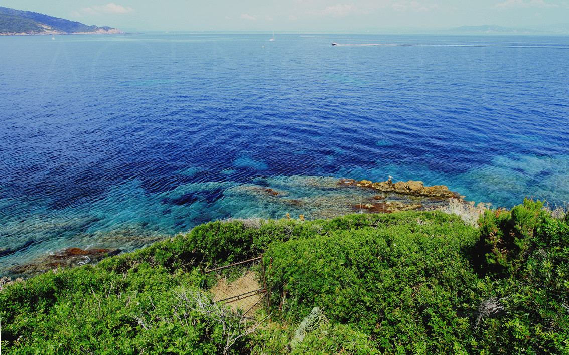 /villa/propriété pieds dans l'eau, Ile du Levant/Hyères ...