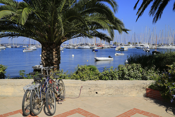 Appartement sur lle de Porquerolles